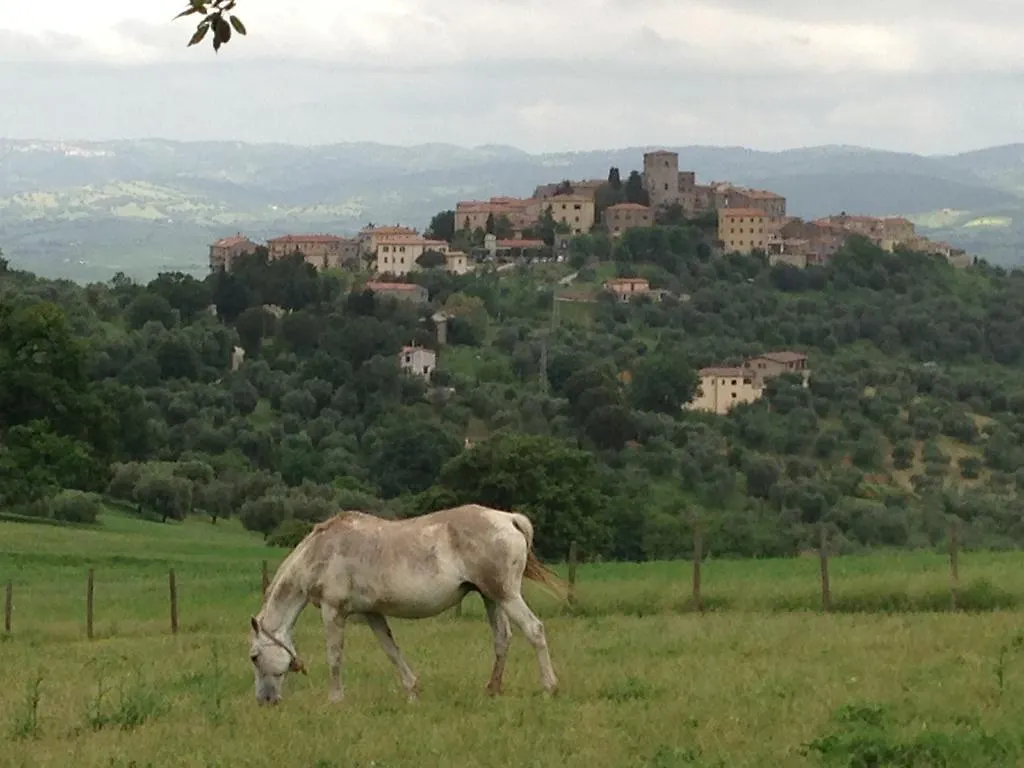 Villa La Fonte Dei Frati Hotel Montemerano